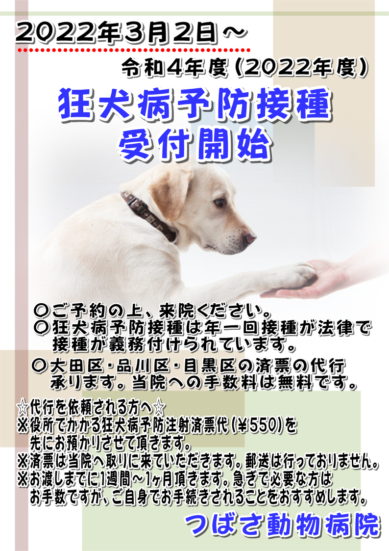 22年度狂犬病予防接種 つばさ動物病院 洗足池 上池台エリア 土日祝日も診療