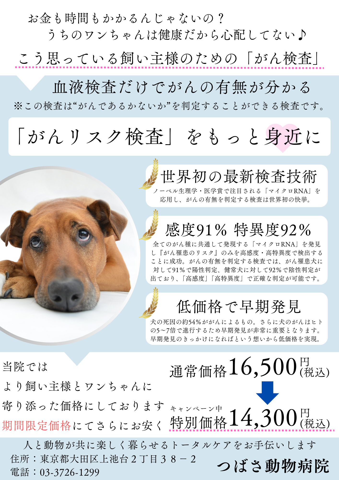 531d07d485c263a9646a8a623d36e3