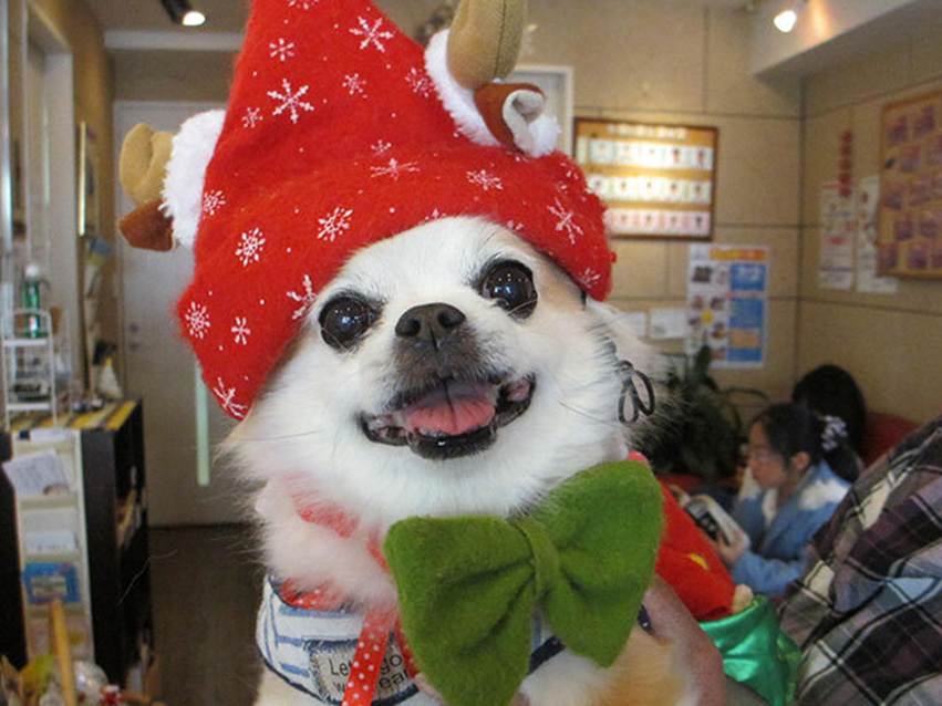 フード＆サプリの日の特典画像